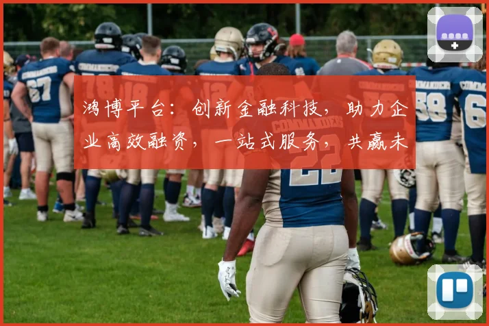 鸿博平台：创新金融科技，助力企业高效融资，一站式服务，共赢未来，值得信赖