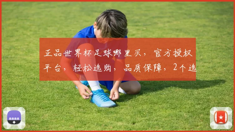 正品世界杯足球哪里买，官方授权平台，轻松选购，品质保障，2个选择，总有一款适合你