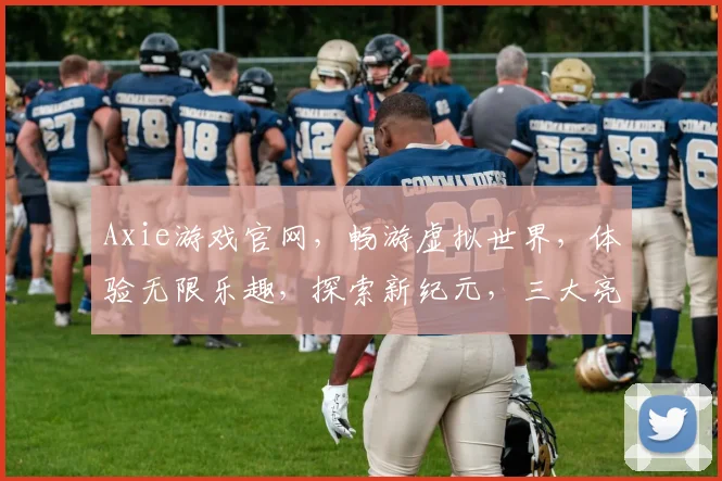 Axie游戏官网，畅游虚拟世界，体验无限乐趣，探索新纪元，三大亮点不容错过