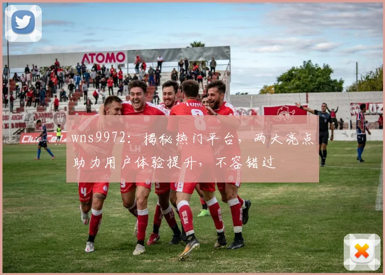 wns9972：揭秘热门平台，两大亮点助力用户体验提升，不容错过