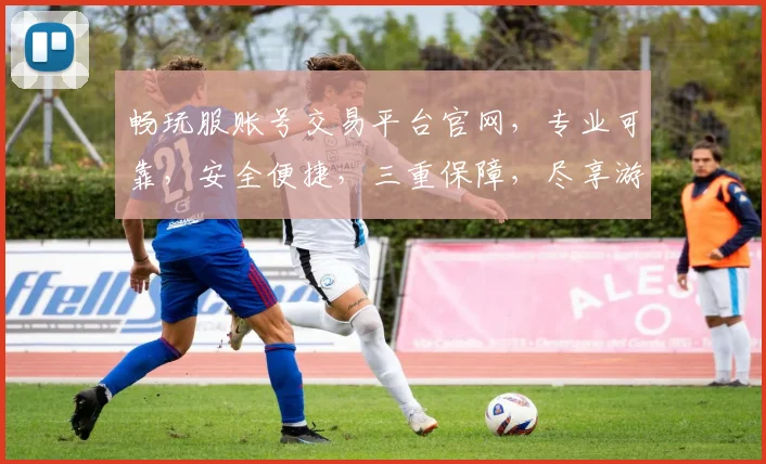 畅玩服账号交易平台官网，专业可靠，安全便捷，三重保障，尽享游戏乐趣，让您畅游虚拟世界，轻松交易